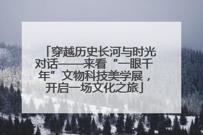 穿越历史长河与时光对话——来看“一眼千年”文物科技美学展，开启一场文化之旅