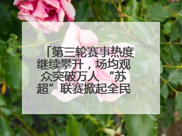 第三轮赛事热度继续攀升，场均观众突破万人 “苏超”联赛掀起全民观赛热潮