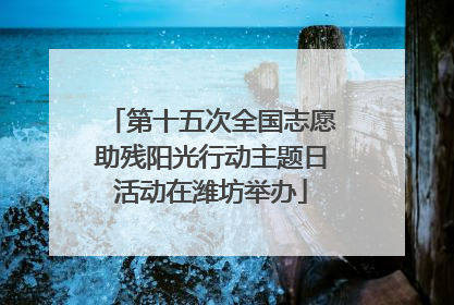 第十五次全国志愿助残阳光行动主题日活动在潍坊举办