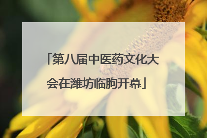 第八届中医药文化大会在潍坊临朐开幕