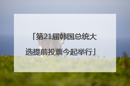 第21届韩国总统大选提前投票今起举行