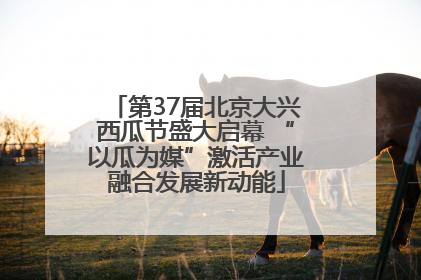 第37届北京大兴西瓜节盛大启幕 “以瓜为媒”激活产业融合发展新动能