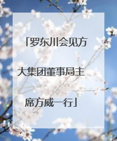 罗东川会见方大集团董事局主席方威一行