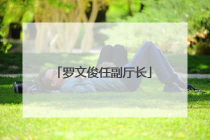 罗文俊任副厅长