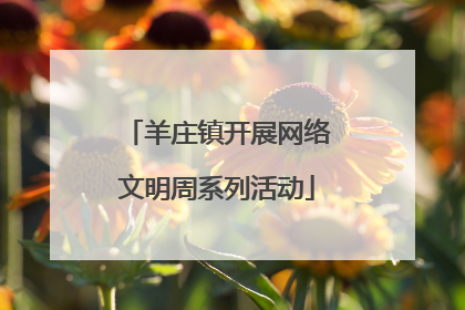 羊庄镇开展网络文明周系列活动