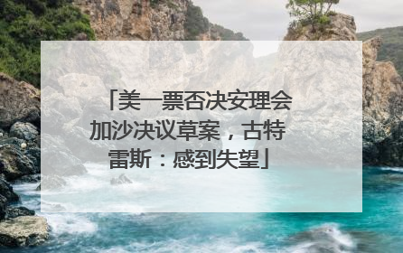 美一票否决安理会加沙决议草案，古特雷斯：感到失望
