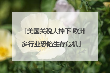 美国关税大棒下 欧洲多行业恐陷生存危机