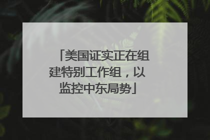 美国证实正在组建特别工作组，以监控中东局势