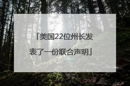 美国22位州长发表了一份联合声明