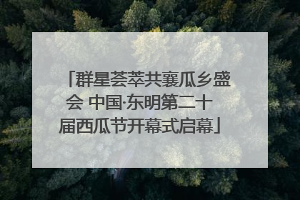 群星荟萃共襄瓜乡盛会 中国·东明第二十届西瓜节开幕式启幕
