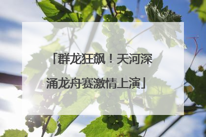 群龙狂飙！天河深涌龙舟赛激情上演
