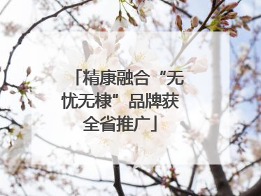 精康融合“无忧无棣”品牌获全省推广