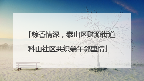 粽香情深，泰山区财源街道科山社区共织端午邻里情