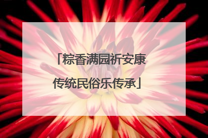 粽香满园祈安康 传统民俗乐传承