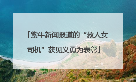 紫牛新闻报道的“救人女司机”获见义勇为表彰