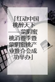 红动中国 桃醉天下——蒙阴蜜桃消费季暨蒙阴蜜桃产业推介会成功举办