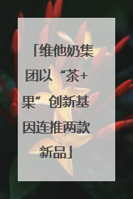 维他奶集团以“茶+果”创新基因连推两款新品