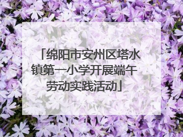 绵阳市安州区塔水镇第一小学开展端午劳动实践活动