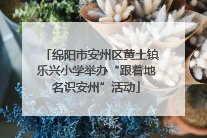 绵阳市安州区黄土镇乐兴小学举办“跟着地名识安州”活动