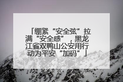 绷紧“安全弦”拉满“安全感”，黑龙江省双鸭山公安用行动为平安“加码”