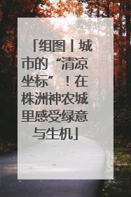 组图丨城市的“清凉坐标”！在株洲神农城里感受绿意与生机