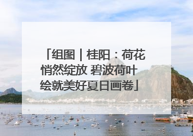 组图｜桂阳：荷花悄然绽放 碧波荷叶绘就美好夏日画卷