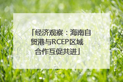 经济观察：海南自贸港与RCEP区域合作互促共进