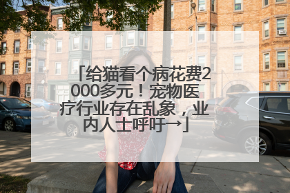 给猫看个病花费2000多元！宠物医疗行业存在乱象，业内人士呼吁→