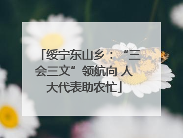 绥宁东山乡：“三会三文”领航向 人大代表助农忙
