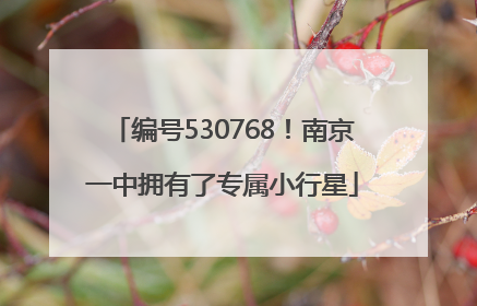 编号530768！南京一中拥有了专属小行星
