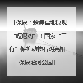 保康：楚源福地惊现“嘎嘎鸡”！国家“三有”保护动物石鸡亮相保康沿河公园