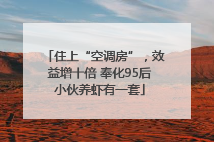 住上“空调房”，效益增十倍 奉化95后小伙养虾有一套