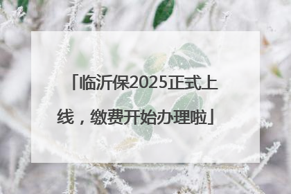 临沂保2025正式上线，缴费开始办理啦
