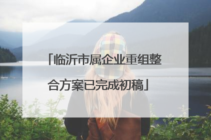 临沂市属企业重组整合方案已完成初稿