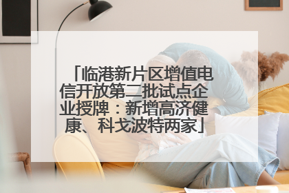 临港新片区增值电信开放第二批试点企业授牌：新增高济健康、科戈波特两家