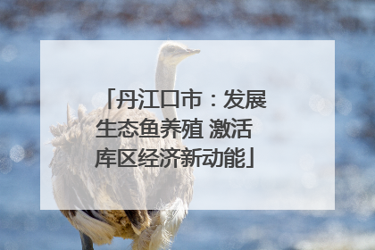 丹江口市：发展生态鱼养殖 激活库区经济新动能