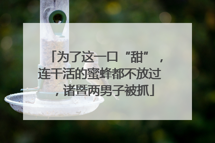 为了这一口“甜”，连干活的蜜蜂都不放过，诸暨两男子被抓