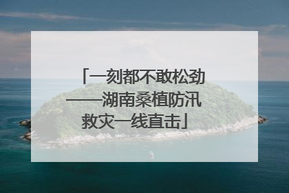 一刻都不敢松劲——湖南桑植防汛救灾一线直击