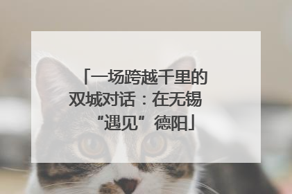 一场跨越千里的双城对话：在无锡“遇见”德阳