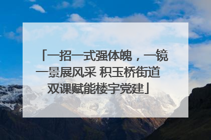 一招一式强体魄，一镜一景展风采 积玉桥街道双课赋能楼宇党建