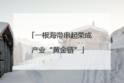 一根海带串起荣成产业“黄金链”