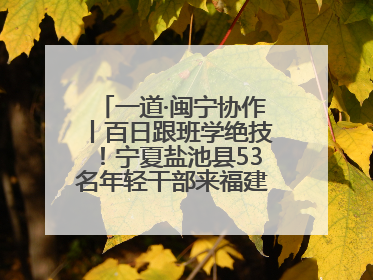 一道·闽宁协作丨百日跟班学绝技！宁夏盐池县53名年轻干部来福建取“真经”