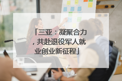 三亚：凝聚合力，共赴退役军人就业创业新征程