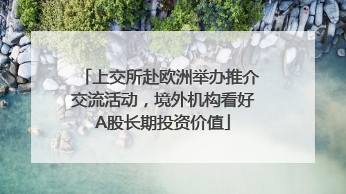 上交所赴欧洲举办推介交流活动，境外机构看好A股长期投资价值
