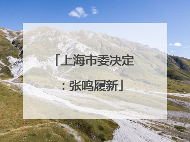 上海市委决定：张鸣履新