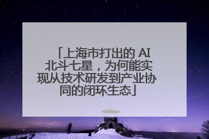 上海市打出的 AI 北斗七星，为何能实现从技术研发到产业协同的闭环生态