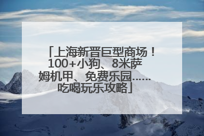 上海新晋巨型商场！100+小狗、8米萨姆机甲、免费乐园……吃喝玩乐攻略