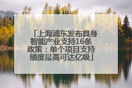 上海浦东发布具身智能产业支持16条政策：单个项目支持额度最高可达亿级