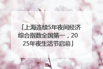 上海连续5年夜间经济综合指数全国第一，2025年夜生活节启幕