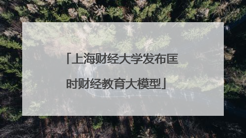 上海财经大学发布匡时财经教育大模型